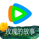狗贩子怎么处理狗宝